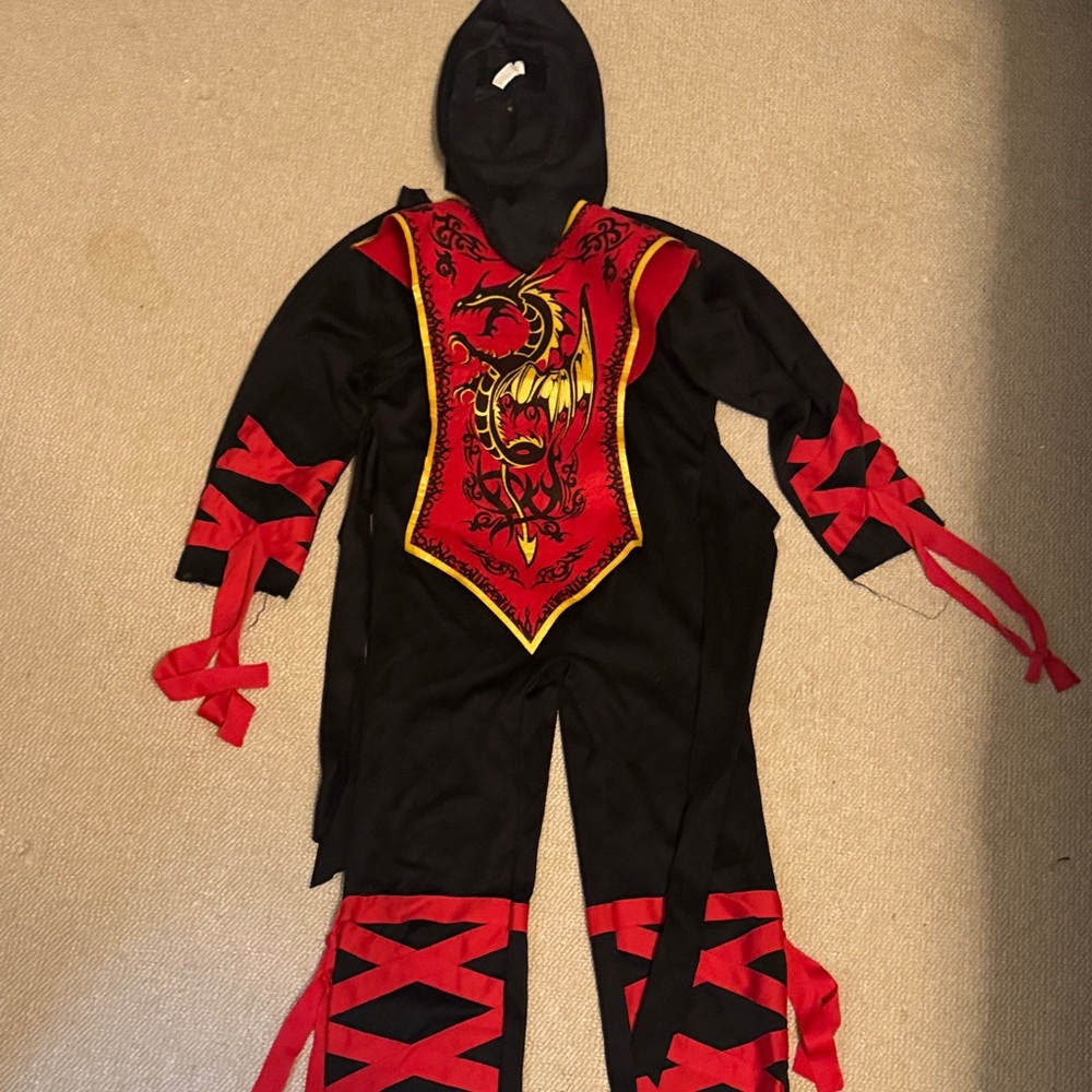 Dragon Warrior Kids Costume